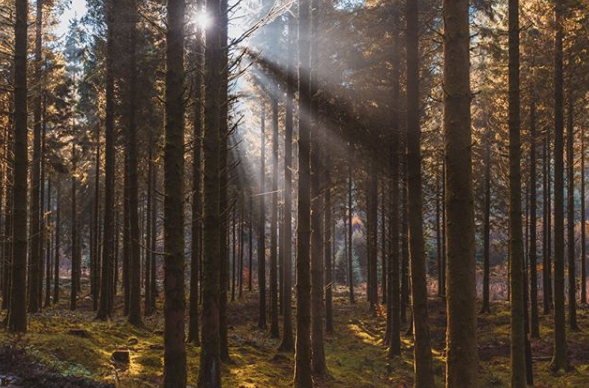 2018 Holiday Gift Guide: For the Adventurous Explorer